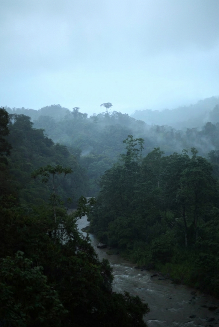 Río Pacuare 2